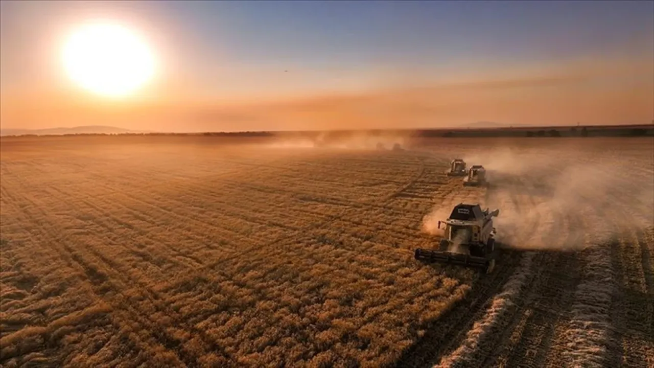 331 milyon lira tarımsal destek ödemesi çiftçilerin hesaplarına yatıyor