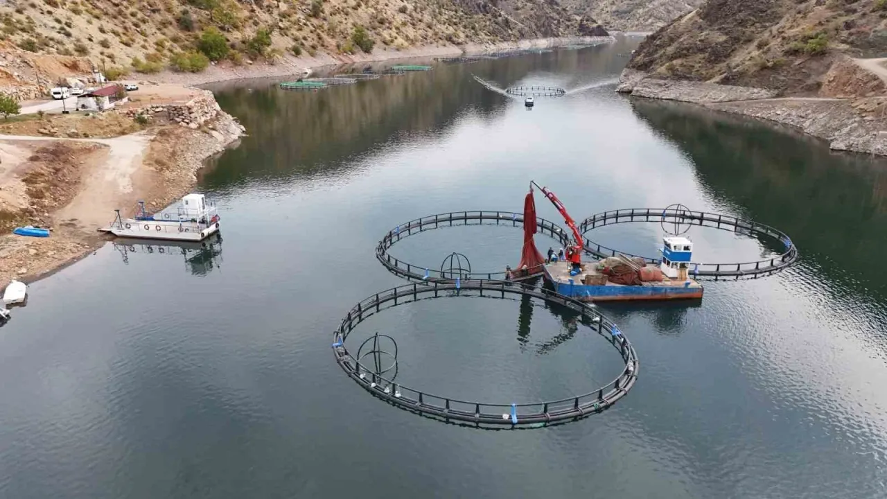 500 ton kapasiteli tesisten dünyaya "Mezopotamya somonu" gönderilecek