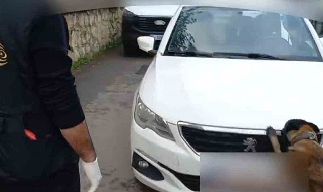 92 kilo bonzai hammaddesi taşıyan 2 şüpheli gözaltına alındı