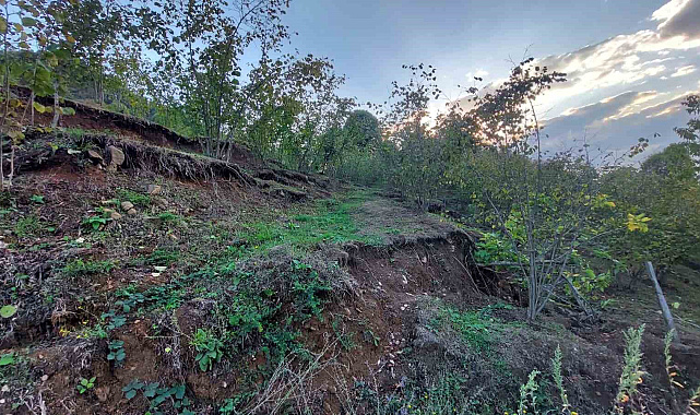 Araziler parçalandı, evler yamuldu: Taş ocağı mahalleyi yok etmeye başladı
