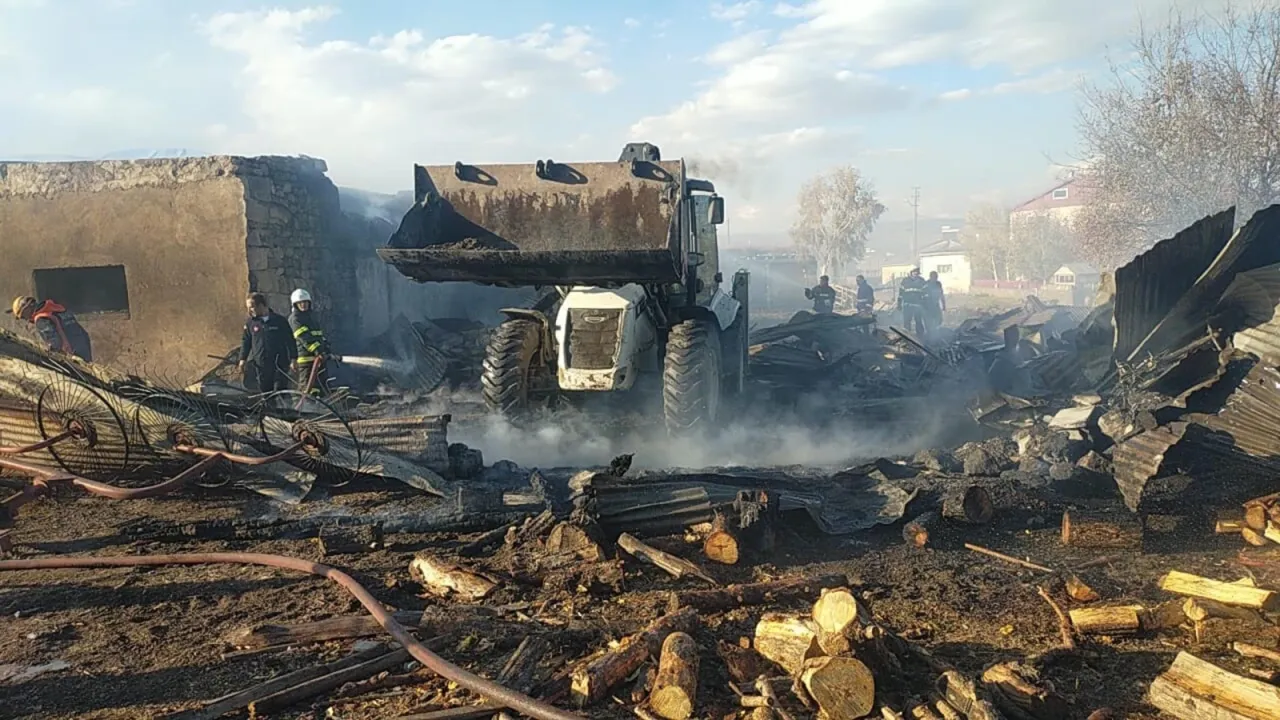 Ardahan’da çıkan ahır yangınında 23 hayvan öldü
