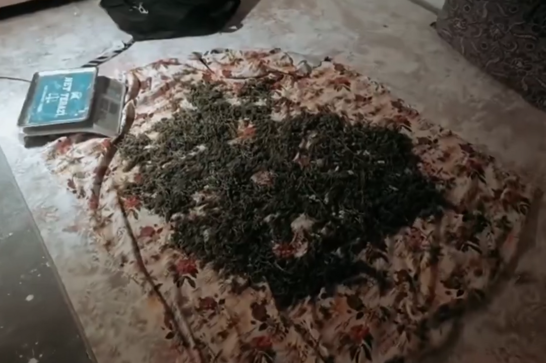 Bakan Yerlikaya açıkladı: Bir operasyonda 555 kilogram uyuşturucu madde