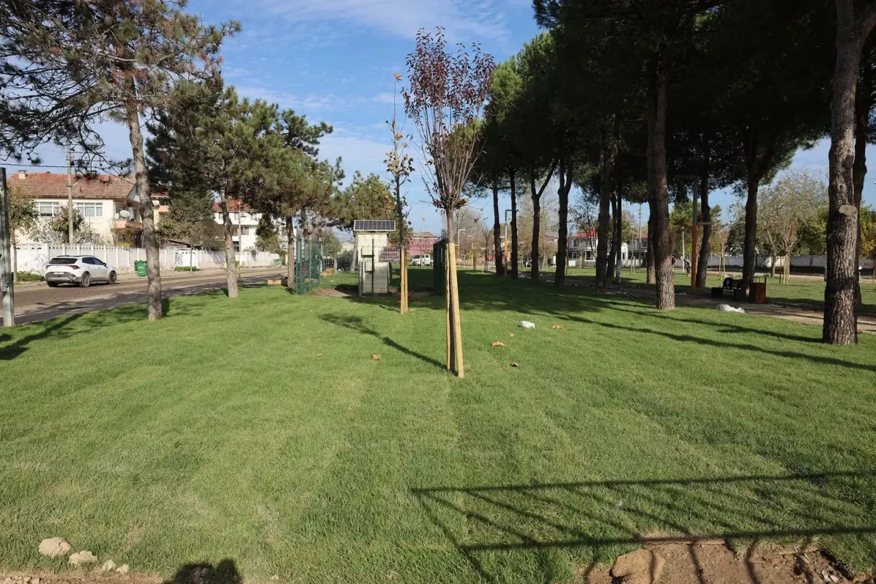 Başkan Alemdar duyurdu: Söğütlü Ritim Park tamamlanmak üzere