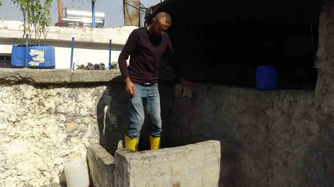 Batman’da bağbozumu heyecanı başladı