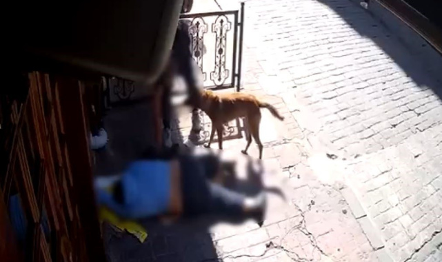 Beyoğlu'nda "pes" dedirten olay: Sara nöbeti sonrası bayılan adamın telefonunu çaldılar