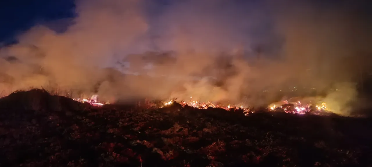 Bilecik'te arazide çıkan yangın söndürüldü