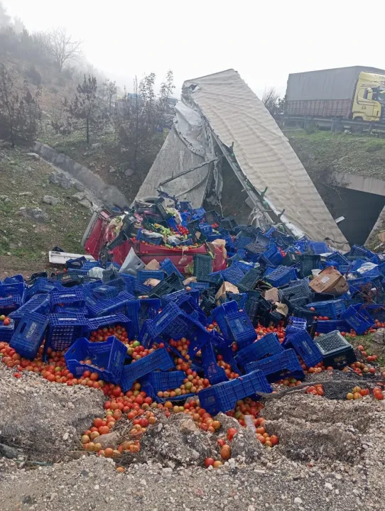 Bilecik'te devrilen tırın sürücüsü yaralandı