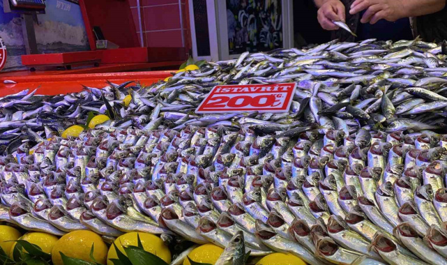 Bolu'da fırtına balık tezgahlarını vurdu