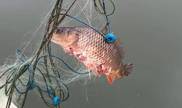 Bolu'da gölün ortasında 500 metrelik kaçak ağ ele geçirildi