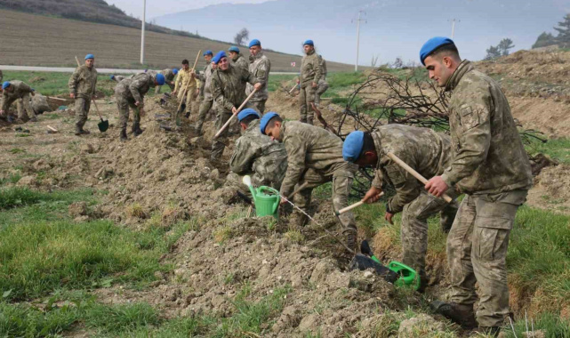 Bolu'da komandolar yeşil vatanda geleceğe nefes oldu