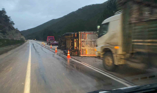 Bolu'da odun yüklü tır devrildi