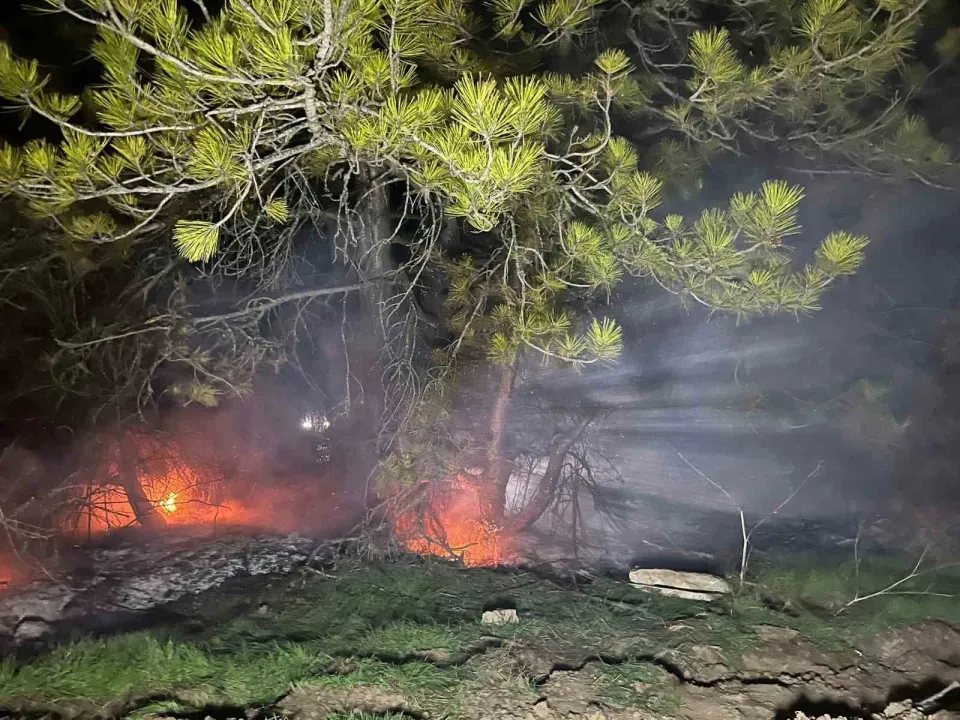 Bolu’da ormanlık alanda yangın