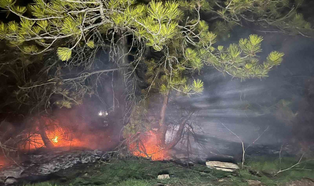 Bolu'da ormanlık alanda yangın çıktı