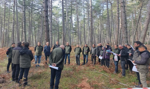 Bolu'da sağlıklı ormanlar için ekipler sahaya indi