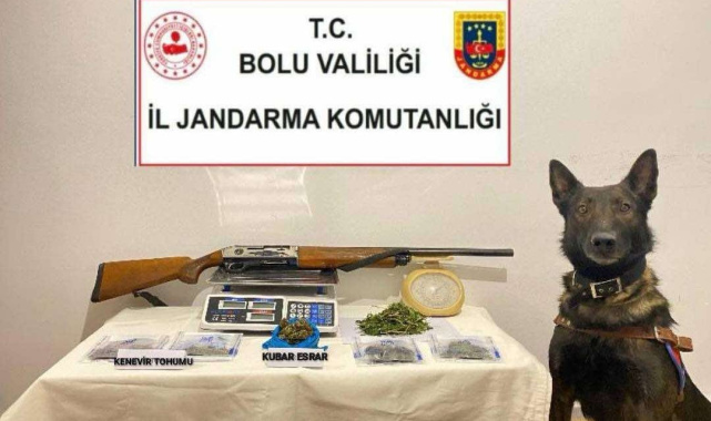 Bolu'da uyuşturucu operasyonu: 1 tutuklama