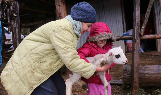 Bolu'da yaylalardan köylere göç başladı