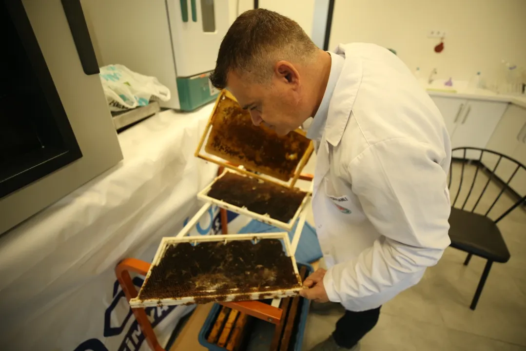 Borla üretilen doğal solüsyon arıları öldüren zararlıları yok ediyor