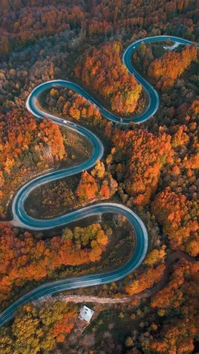 Bursa’da sonbaharla ormanlara gelen renk cümbüşü