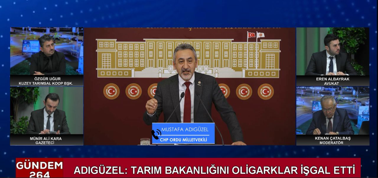 CHP Milletvekili TV264'e konuştu: ''Fındık üreticisi sakın panik yapmasın!''