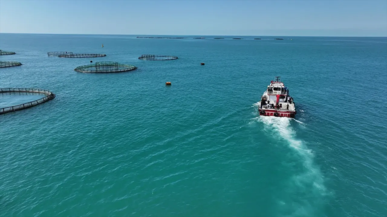 Cumhuriyet tarihinde bir ilk: Balık üretimi rekor kırdı