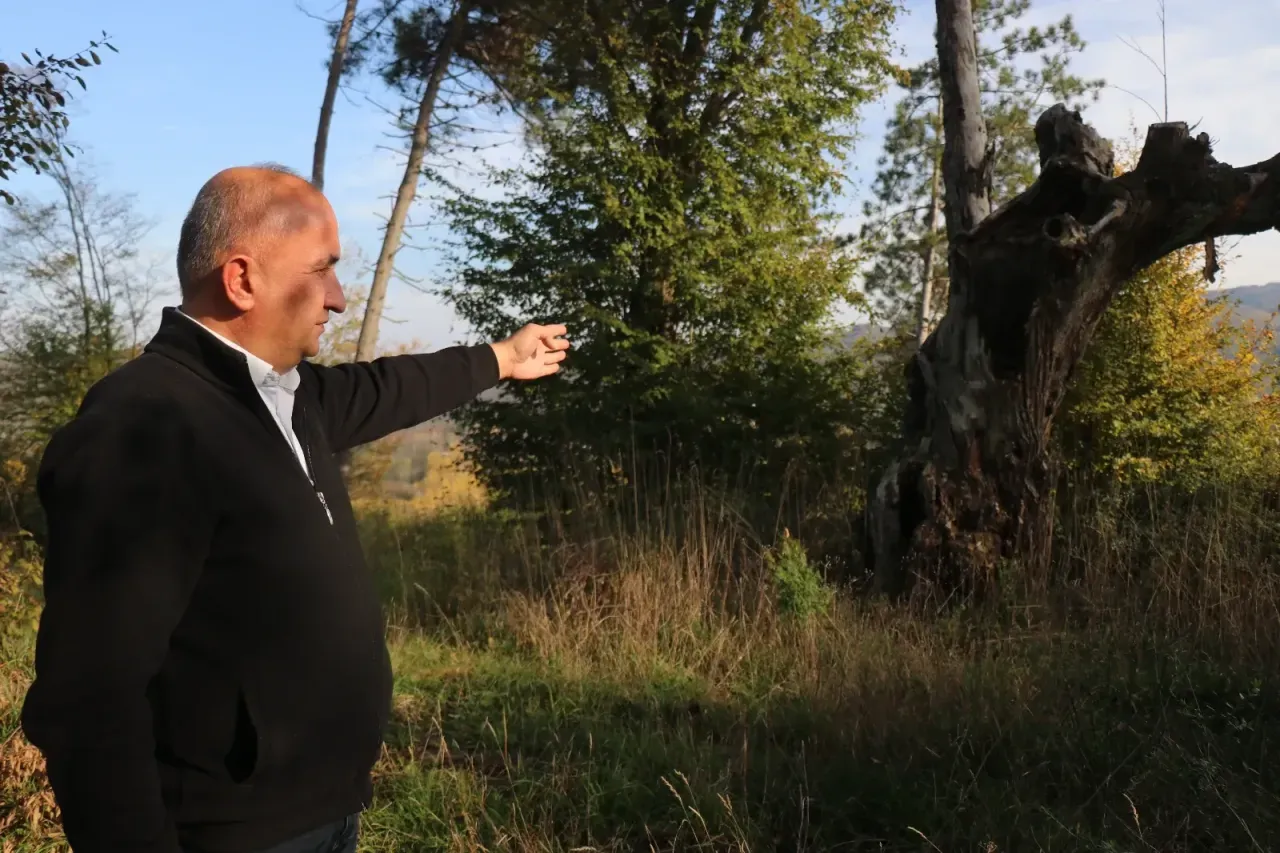 Defineciler köyün tarihi olan eski mezarlığını talan etti, geriye çürümüş ağaç kaldı