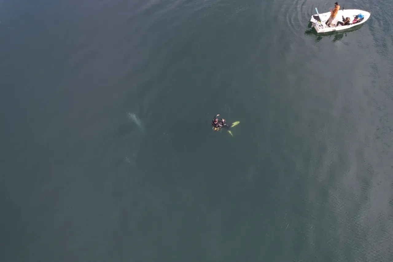 Deprem uzmanı Sapanca Gölü'ndeki kabarcıkları inceledi: Göl seviyesindeki azalma fayı etkilemiş olabilir