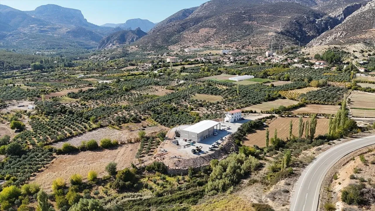 Devlet desteğiyle kurulan zeytinyağı sıkım tesisleri yöre halkına kazanç oldu