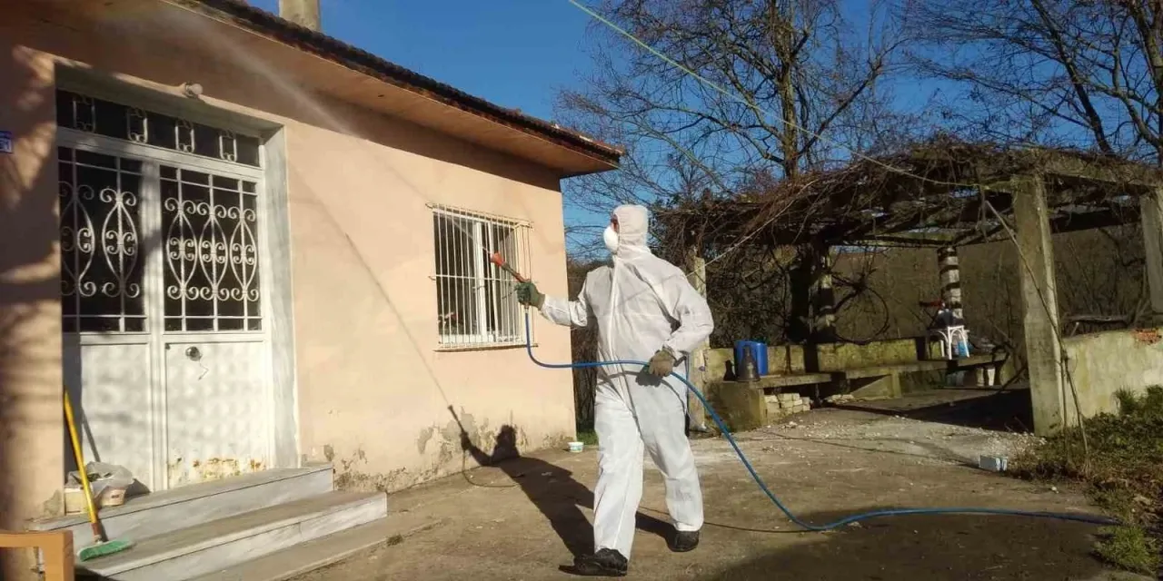 Düzce’de kahverengi kokarca ile kışlak mücadelesi devam ediyor