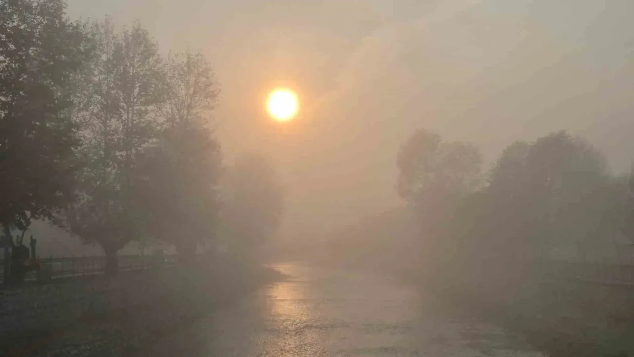 Düzce güne sisle uyandı