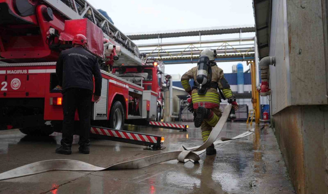 Düzce itfaiyesi 700 yangına müdahale etti