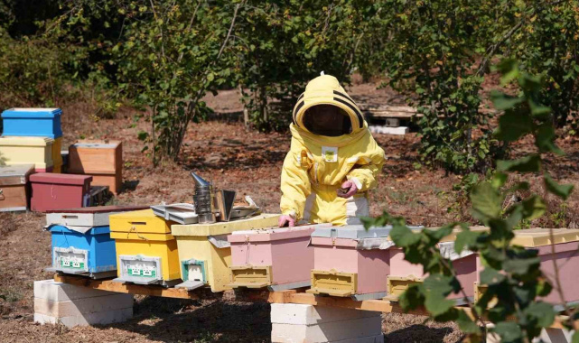 Düzce Üniversitesi mezunlarından uluslararası başarı