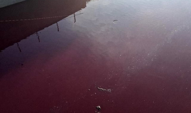 Esenyurt'ta derenin rengi kırmızıya döndü