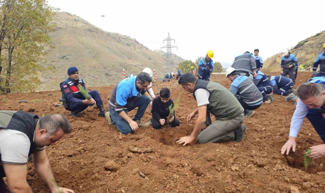 Eti Bakır'dan ağaçlandırma seferberliği