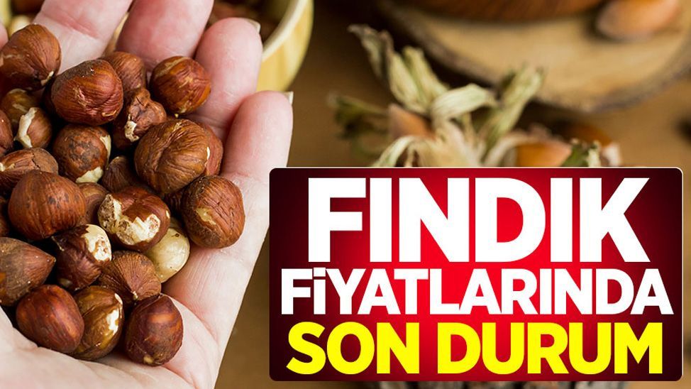 Fındık fiyatı bugün ne kadar? 15 Ekim 2025 güncel fındık fiyatları