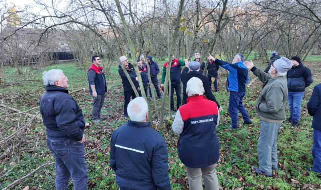 Fındıkta verim ve kalite artırılıyor