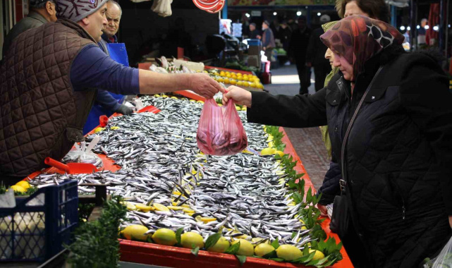 Fiyatı düşen hamsiye talep arttı: "Son 10 yıldır böyle güzel hamsi gelmedi"