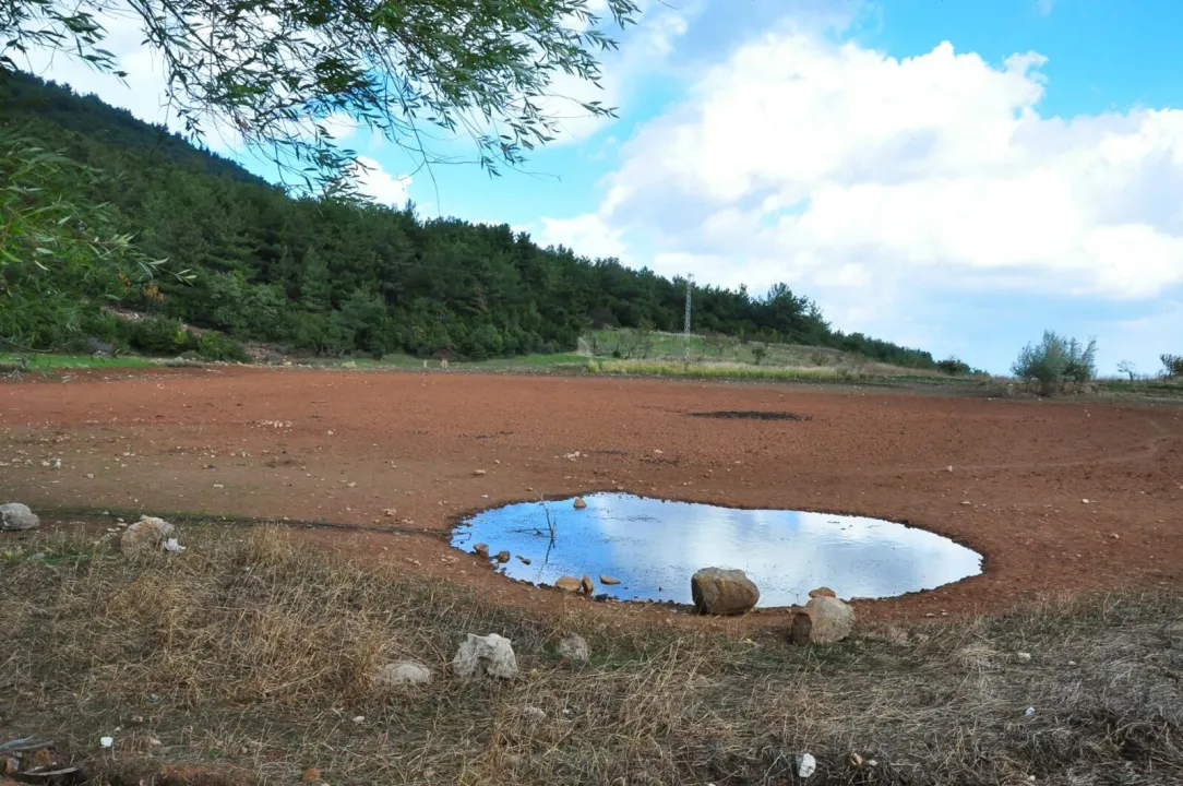 Geçen yıl tankerlerle taşınan su ile kurtarılan Sülüklü Göl, bu yıl tamamen kurudu
