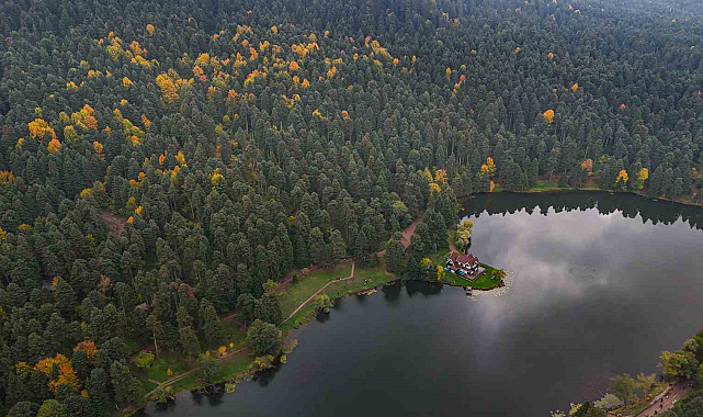 Gölcük Tabiat Parkı'nda sonbahar güzelliği mest etti