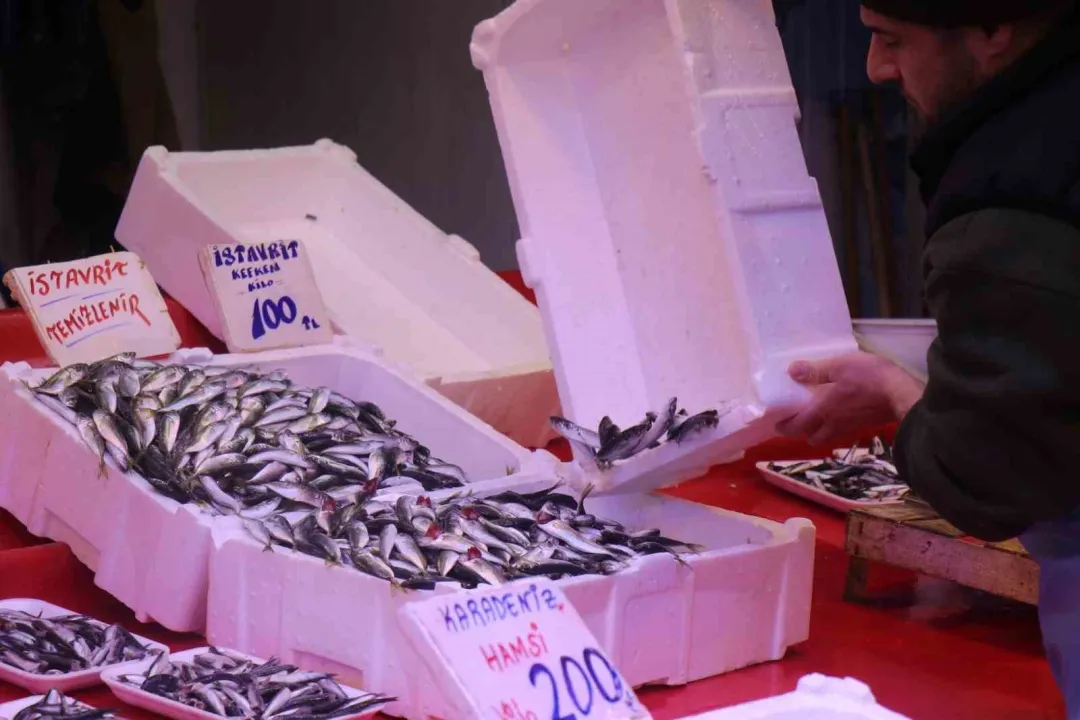 Hamsi Gürcistan'a kaçtı, tezgahlar istavritle doldu