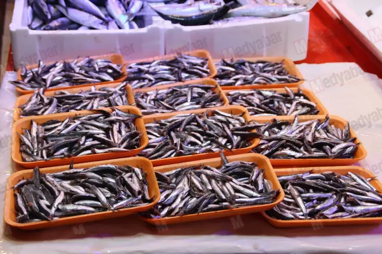 Hamsi sahilde 50–100 TL, katlı pazarda 200 TL! Vatandaş isyan etti: “Esnaf anlaşmış, Sakarya halkı kazıklanıyor”