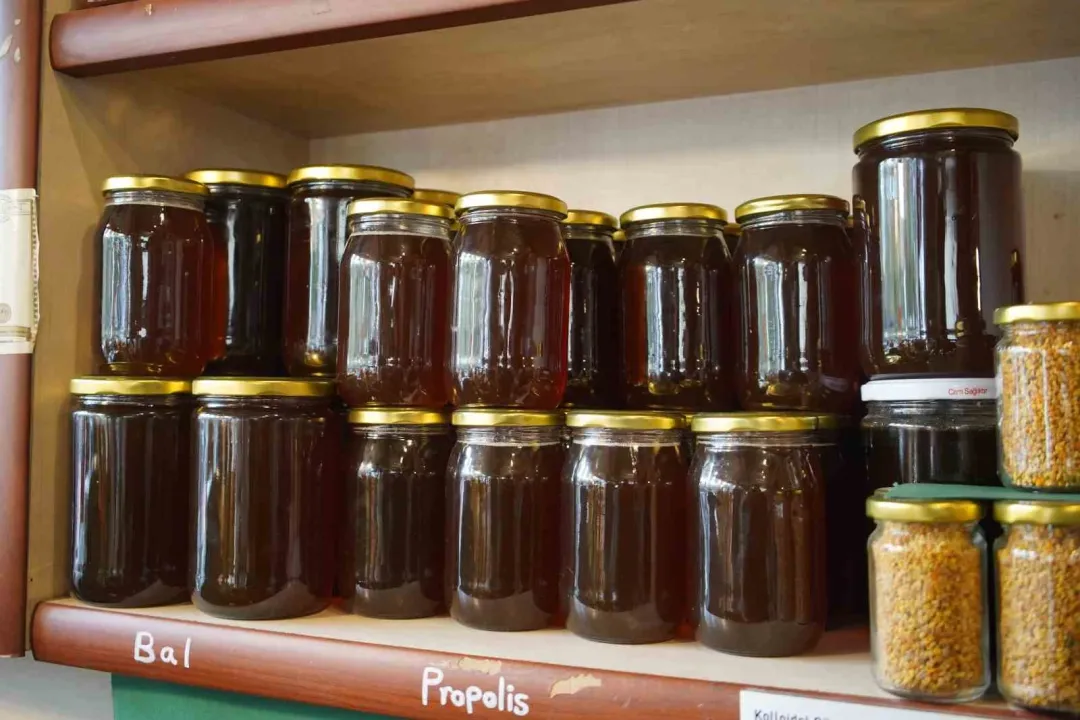 Havalar soğudu, Sakarya'da aktarlara ilgi arttı