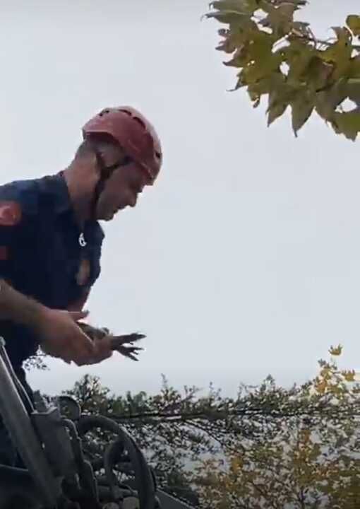 İmamın dikkati ve itfaiyenin gayreti güvercini kurtardı!