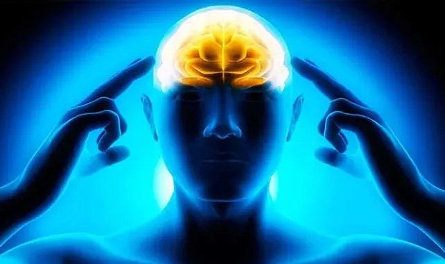 İnsan Beyni 4 Kritik Yaşta Değişiyor