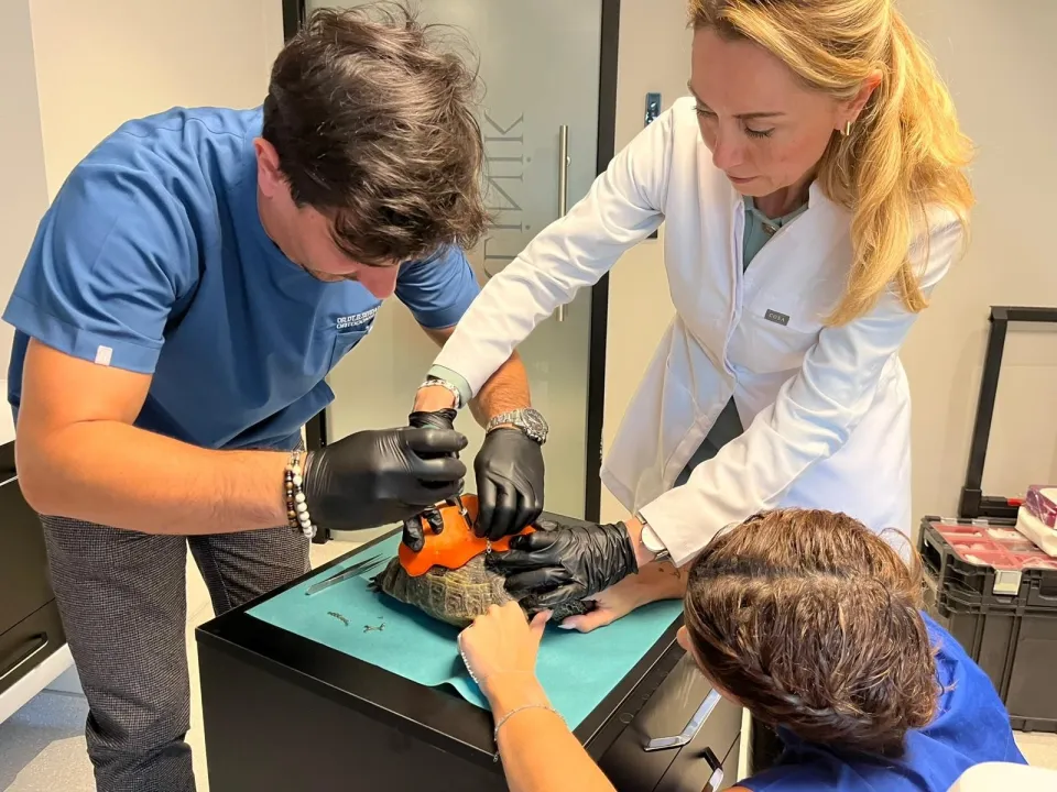 Kabuğu kırılan kaplumbağaya protez takıldı