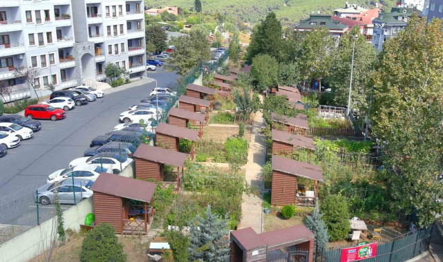 Kağıthane Belediyesi 2026 Hobi Bahçeleri için başvuruları başlattı