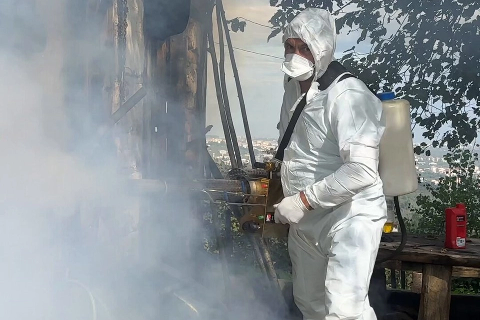 Kahverengi kokarca mücadelesinde 1 milyon haneye ilaçlama