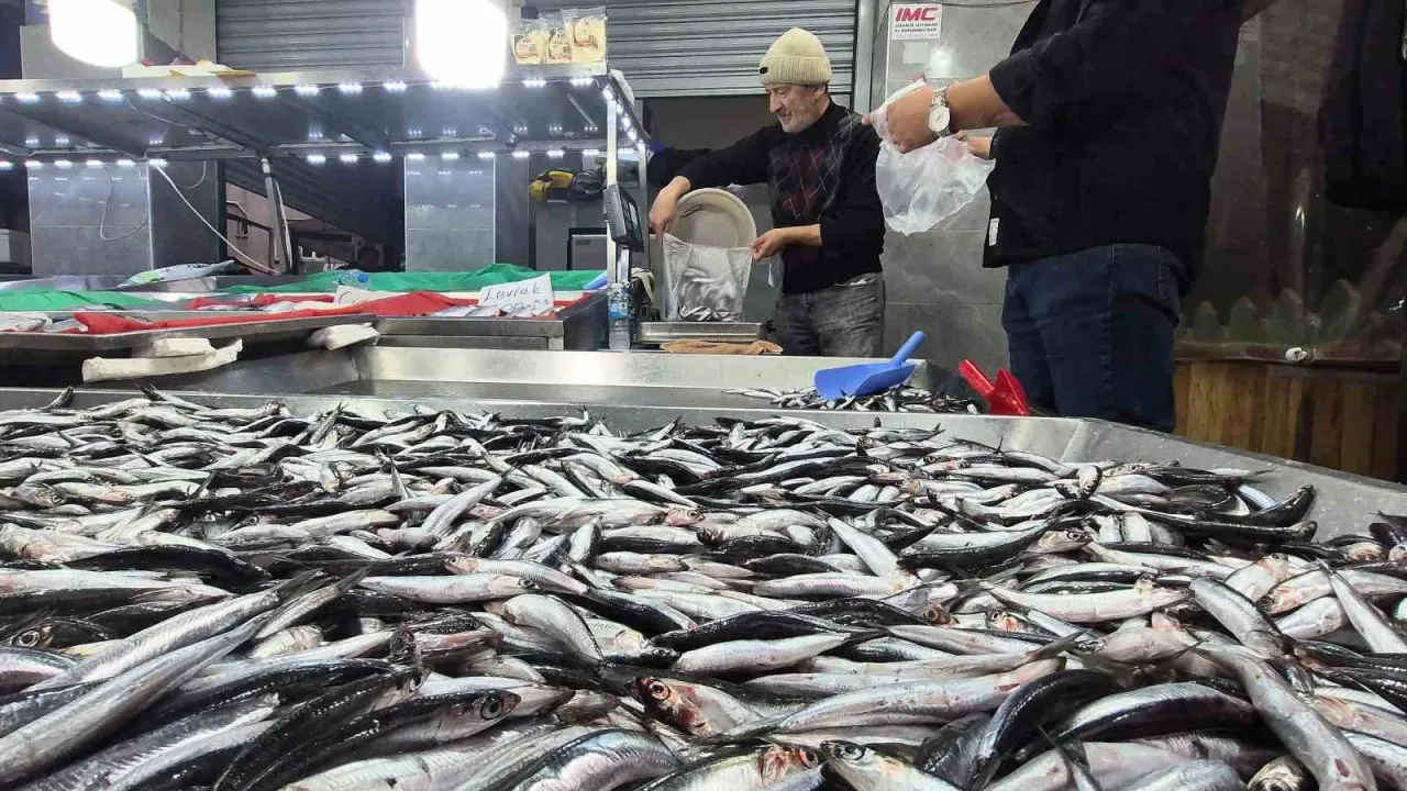 Karadeniz’de hamsi bollaştı, Bartın’da kilosu 50TL’ye düştü