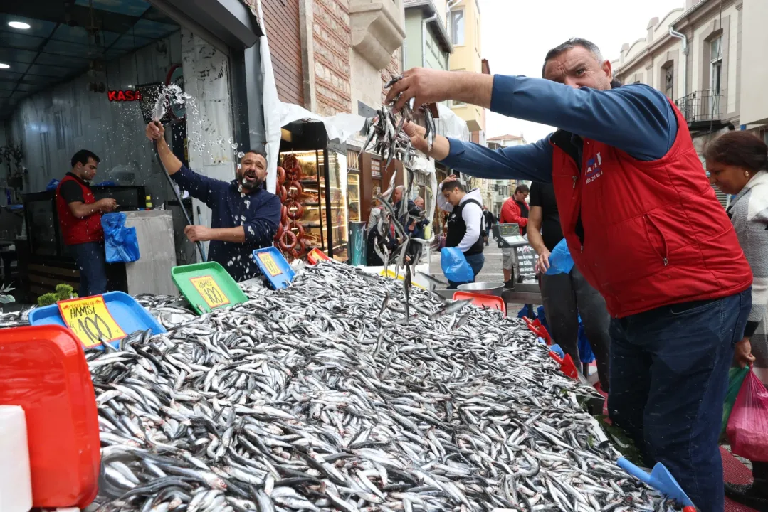 Karadeniz'de hamsi bolluğu tezgahlara yansıdı