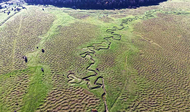 Karagöl Yaylası'nın eşsiz menderesleri havadan görüntülendi