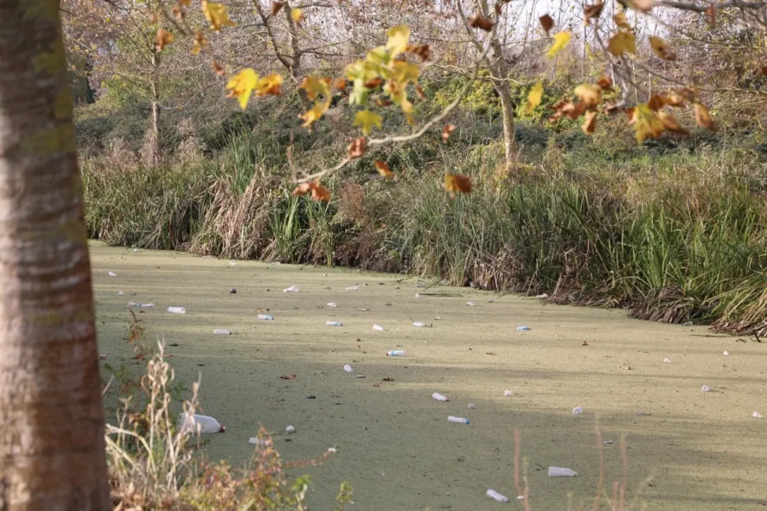 Karasu'da su kanalı adeta çöplüğe döndü: Vatandaş yetkililere seslendi